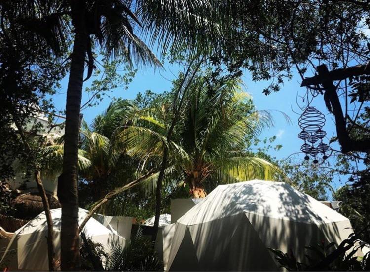 Frequency Ilha Holbox Exterior foto